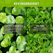 Load image into Gallery viewer, IUNIK Centella Calming Gel Cream 2.02 Fl. Oz. Deep Hydrating, Botanic Ingredients with Centella Asiatica & Tea tree extracts – Face Moisturizer for Sensitive & Dry skin / Acne Treatment Clear Skin – Face Serum for Acne, Breakout, Pimple - Tea Tree 67%, Ce