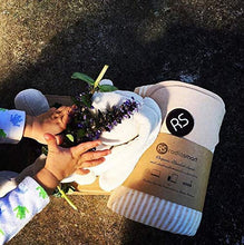 Load image into Gallery viewer, Radia Smart 5G Anti-Radiation, EMF Protection Baby Blanket, Pregnancy Belly Shielding, Organic Cotton, Cream, 35”x30"