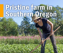 Load image into Gallery viewer, Herb Pharm Certified Organic Super Echinacea Liquid Extract for Active Immune System Support - 1 Ounce