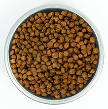 Load image into Gallery viewer, Stella & Chewy's Wild Red Dry Dog Food Raw Coated High Protein Grain & Legume Free Puppy Prairie Recipe, 3.5 lb. Bag