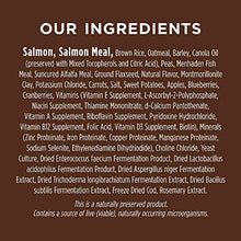 Load image into Gallery viewer, Instinct Be Natural Real Salmon & Brown Rice Recipe Natural Dry Dog Food by Nature's Variety, 4.5 lb. Bag