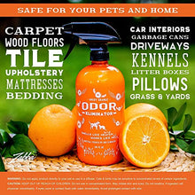 Load image into Gallery viewer, ANGRY ORANGE 24 oz Ready-to-Use Citrus Pet Odor Eliminator Pet Spray - Urine Remover and Carpet Deodorizer for Dogs and Cats