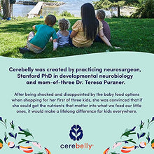 Load image into Gallery viewer, Cerebelly Baby Food Pouches – White Bean Pumpkin Apple (Pack of 6), Organic Fruit & Veggie Purees, Great Snack for Toddlers, 16 Brain-supporting Nutrients from Superfoods, No Added Sugar