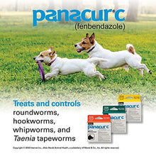 Load image into Gallery viewer, Panacur C Canine Dewormer (Fenbendazole), 4 Gram