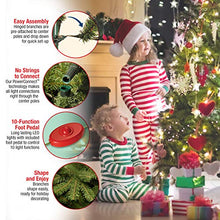 Load image into Gallery viewer, National Tree Company Dunhill Fir Artificial Tree, 9 Ft, Dual Colored Lights