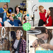 Load image into Gallery viewer, 10" LED Selfie Ring Light with 2 Tripod Stand & 3 Cell Phone Holder 3 Lighting Modes 10 Dimmable Brightness for Live Streaming YouTube Video Photography Makeup Circle Light for iPhone Android Camera