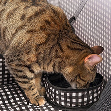 Load image into Gallery viewer, CHEERING PET, Cat Condo Cage, Travel Cage, Portable Pet Crate, Collapsible Litter Box, Foldable Feeding Bowl, Hanging Feather Teaser and Ball, Carrying Bag, Extra Large 32" X 19" X 19" (Checker Board)