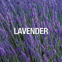 Load image into Gallery viewer, Curve Curve for Men, Men's Fragrance 4 Piece Gift Set, 0.5 Fl. Oz. Mini Cologne Spray, 2.0 Oz Hair Pomade, 3.4 Oz After Shave Balm, and 3.4 Oz Shower Gel, 4 Count