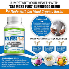 Load image into Gallery viewer, Power By Naturals Certified Organic Sea Moss Plus Supplements with Wildcrafted Irish Sea Moss, Bladderwrack, and Burdock Root, Pure Sea Moss Supplement, Vegan, No Fillers, 60 SeaMoss Powder Capsules