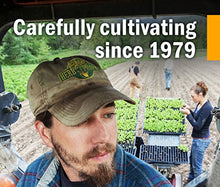 Load image into Gallery viewer, Herb Pharm Certified Organic Super Echinacea Liquid Extract for Active Immune System Support - 1 Ounce