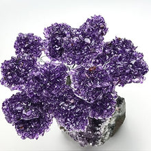 Load image into Gallery viewer, Large Amethyst Clustered Gemstone Tree on Amethyst Matrix