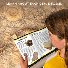 Load image into Gallery viewer, NATIONAL GEOGRAPHIC Mega Fossil and Gemstone Dig Kits - Excavate 10 Real Fossils and 10 Real Gems, Great STEM Science Gift for Mineralogy and Geology Enthusiasts of Any Age