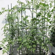 Load image into Gallery viewer, Pack of 25 Garden Stakes Sturdy Plant Sticks Plastic Coated Plant Stakes Support Metal Tomato Stakes for Cucumber, Strawberry, Beans, Trees (48 Inch)