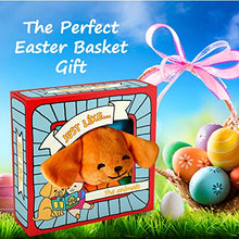 Load image into Gallery viewer, ToBe ReadyForLife Soft Baby Book, Touch & Feel Crinkle Baby Toy for Infants, Baby Stroller Toy, Cloth Book for Babies & Infants, Baby Toys 6 to 12 Months (Just Like…The Animals)