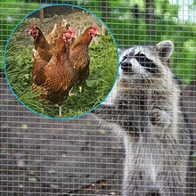 Load image into Gallery viewer, Amagabeli 1/4 Hardware Cloth 36 x 50 23Gauge Galvanized After Welded Wire Metal Mesh Roll Vegetables Garden Rabbit Fencing Snake Fence for Chicken Run Critters Gopher Racoons Rehab Cage Wire Window