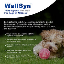 Load image into Gallery viewer, Joint Supplement Dogs - Glucosamine Chondroitin Dogs MSM, Omega 3 & Probiotics - Triple Strength - Veterinarian Grade Alternative to Arthritis & Pain Relief Medication - 60 Chews