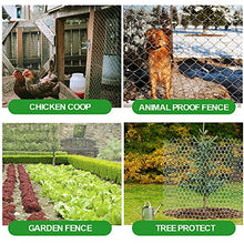 Load image into Gallery viewer, Amagabeli 2 inch Hexagonal Poultry Netting Galvanized Chicken Wire Mesh Fence 20gauge Large Frame with Chicken Netting Rabbits Pets Dog Cat Vegetable Garden fencing Backyard Raised Flower 36inchx50ft