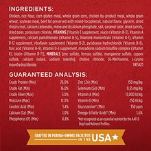 Load image into Gallery viewer, Purina ONE Natural Dry Dog Food, SmartBlend Chicken & Rice Formula - 40 lb. Bag