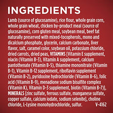 Load image into Gallery viewer, Purina ONE Natural Dry Dog Food, SmartBlend Lamb & Rice Formula - 31.1 lb. Bag