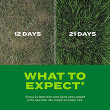 Load image into Gallery viewer, Scotts Turf Builder Rapid Grass Sun & Shade Mix: up to 2,800 sq. ft., Combination Seed & Fertilizer, Grows in Just Weeks, 5.6 lbs