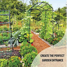 Load image into Gallery viewer, Gardener’s Supply Company Extra Tall Garden Arch Arbor 80in Titan Squash Tunnel | Lightweight Metal Garden Arch Trellis Plant Stand for Climbing Vines | Outdoor Lawn Tower & Garden Support Structure