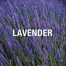 Load image into Gallery viewer, Liz Claiborne Bora Bora Cologne Spray For Men, Daytime Fragrance with Lime & Sandalwood Notes, 3.3 oz