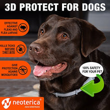 Load image into Gallery viewer, Rolf Club Flea & Tick Collar for Dogs with 3D Level Protect | 6 Months Prevention & Waterproof Repellent | Knockdown Effect Kills Ticks Before Bite | Safe Treatment Control | For Dogs Up to 65 Lb