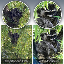 Load image into Gallery viewer, Aurora Optix Monocular 10X42 | High Power Scope with Smartphone Holder & Tripod