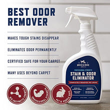 Load image into Gallery viewer, Rocco & Roxie Supply Professional Strength Stain and Odor Eliminator, Enzyme-Powered Pet Odor and Stain Remover for Dogs and Cat Urine, Spot Carpet Cleaner for Small Animal, 32 oz.