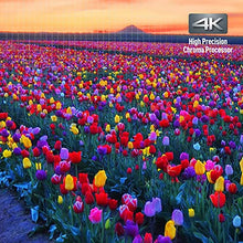 Load image into Gallery viewer, Panasonic Streaming 4K Blu Ray Player with Dolby Vision and HDR10+ Ultra HD Premium Video Playback, Hi-Res Audio, Voice Assist - DP-UB820-K (Black)