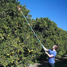 Load image into Gallery viewer, COCONUT Fruit Picker Tool, Fruit Picker with Basket and Pole Easy to Assemble & Use Fruits Catcher Tree Picker for Getting Fruits(5ft)
