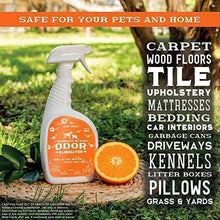 Load image into Gallery viewer, ANGRY ORANGE 24 oz Ready-to-Use Citrus Pet Odor Eliminator Pet Spray & Enzyme Stain Cleaner & Pet Odor Eliminator- Urine Remover and Carpet Deodorizer for Dogs and Cats