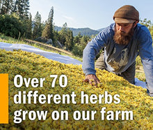 Load image into Gallery viewer, Herb Pharm Certified Organic Super Echinacea Liquid Extract for Active Immune System Support - 1 Ounce