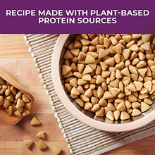 Load image into Gallery viewer, Nature’s Recipe Healthy Skin Vegetarian Recipe Dry Dog Food, 24 Pound Bag