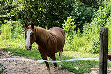 Load image into Gallery viewer, SGT KNOTS High Visibility Electric Fence Poly Tape - Long Lasting 5 Stainless Steel Conductors (1/2" x 656ft, 1 Spool - White)
