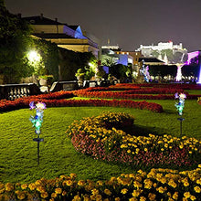 Load image into Gallery viewer, Gallity 29.5''Creativity Solar Flower Outdoor Garden Stake Landscape Lights - with Two Birds Statue Flowers Lawn Led Waterproof Lamp Plug in The Ground - for Yard, Patio, Backyard Decoration