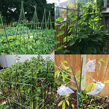 Load image into Gallery viewer, Orgrimmar 26 PCS 48" Garden Support Stakes Plastic Coated Deformable Climbing Plant Trellis Plant Climbing Frame for Tomato Cucumber Eggplant Vine Vegetable (48 Inch)