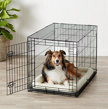 Load image into Gallery viewer, AmazonBasics Single Door Folding Metal Dog Crate Kennel with Tray, 36 x 23 x 25 Inches