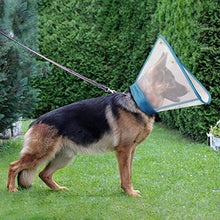Load image into Gallery viewer, IN HAND Adjustable Pet Recovery Collar Comfy Cat Cone, US Patented Product Soft Edge Plastic Dog Cone Anti-Bite Lick Wound Healing Safety Practical Protective E-Collar
