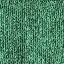Load image into Gallery viewer, Lily Sugar 'N Cream The Original Solid Yarn, 2.5oz, Medium 4 Gauge, 100% Cotton - Mod Green - Machine Wash & Dry