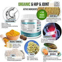 Load image into Gallery viewer, BEST HIP & JOINT SUPPLEMENTS FOR DOGS: Product of USA- Natural Pain Relief & Mobility + Аnti-inflammatory and Аnti-arthritic effects Maximum strength Glucosamine & Chondroitin approx/170 Soft Chews