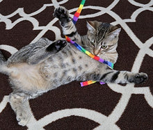 Load image into Gallery viewer, Cat Dancer Products Rainbow Cat Charmer