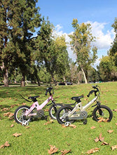 Load image into Gallery viewer, NiceC BMX Kids Bike with Dual Disc Brake for Boy and Girl 12-14-16-18 inch Trainin sg Wheels (14" Champagne)