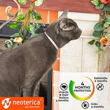 Load image into Gallery viewer, Rolf Club 3D Flea & Worm Collar for Cats and Small Dogs - Flea Control and Tick Treatment - Better Than Oral Flea Control - Cat Worm Prevention for Tapeworms
