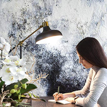 Load image into Gallery viewer, Brightech Wyatt - Industrial Floor Lamp for Living Rooms & Bedrooms - Rustic Farmhouse Reading Lamp - Standing, Adjustable Arm Indoor Pole Lamp for Crafts & Tasks