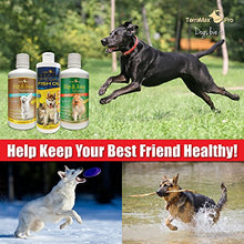 Load image into Gallery viewer, Concentrated Liquid Glucosamine for Dogs ? Advanced Hip and Joint Supplement with Chondroitin, MSM, Hyaluronic Acid and More ? Safe & Natural Arthritis Pain Relief for Dogs ? 32 oz Bottle ? Made in USA! ?!