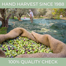 Load image into Gallery viewer, N°1 Drinking Extra Virgin Olive Oil - Italian Olive Oil from Italy 2023 Gold Award Winner - 420,7mg/kg Polyphenol Rich Olive Oil - 100% Unrefined Cold pressed Olive Oil for Drinking and Finishing Use