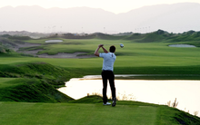 Load image into Gallery viewer, Golf Star: Free game
