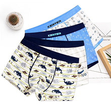 Load image into Gallery viewer, 4 Pcs High Quality Children's Underwear for Kids Cartoon Cat Shorts Soft Cotton Underpants Boys Teenage Striped Panties 4-16T