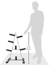 Load image into Gallery viewer, CAP Barbell Olympic 2-Inch Plate Rack
